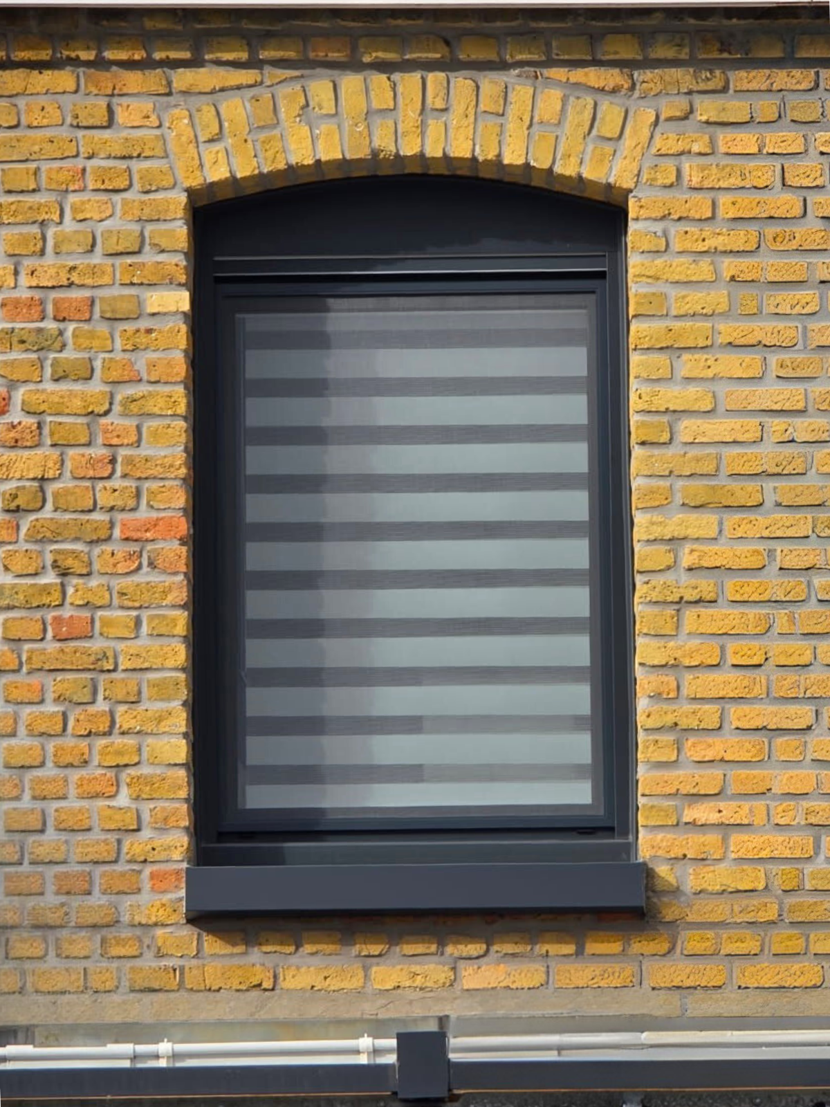 Plasti Services Littoral - Fenêtres ALU